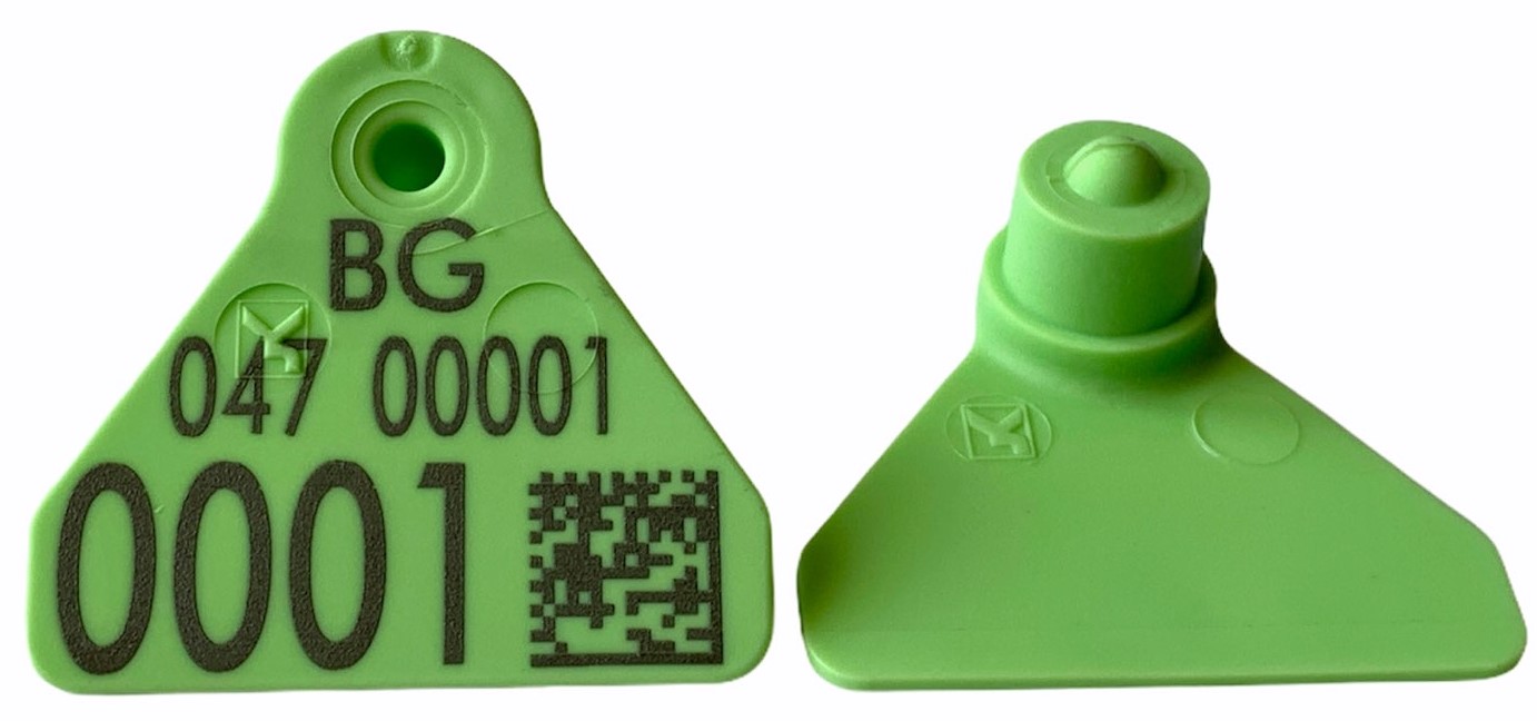 Висококачествени ушни марки с трайно лазерно маркиране предназначени за свине за клане, за продаване на територията на България